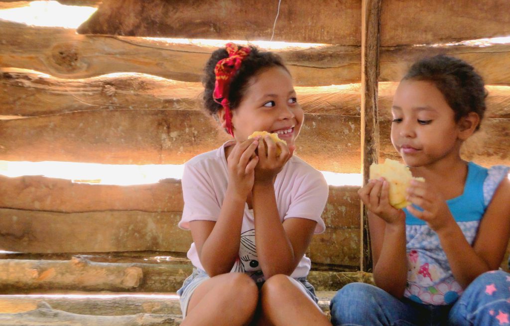 Venezuela vista desde la torre de marfil Especial Venezuela (21)