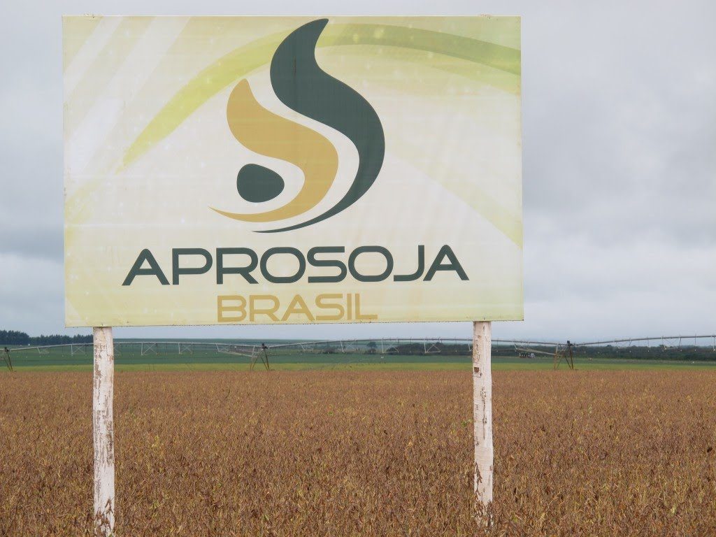 Brasil, sin patente para la soja Monsanto Aprosoja1