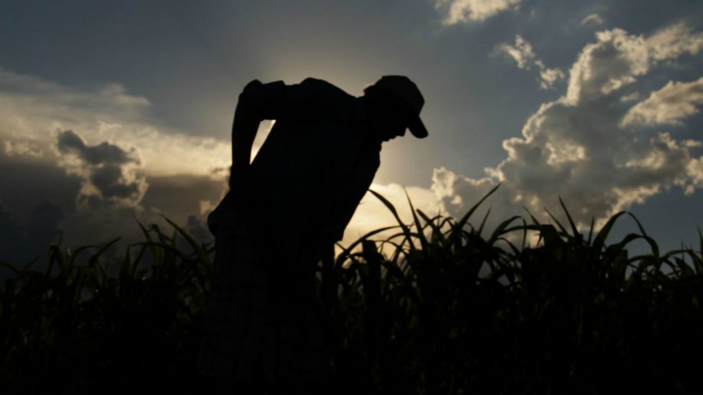 La imagen y la palabra del Monte 7