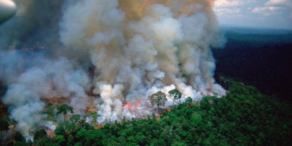 El humo de los incendios criminales en la Amazonía se propaga por todo el continente amazonía