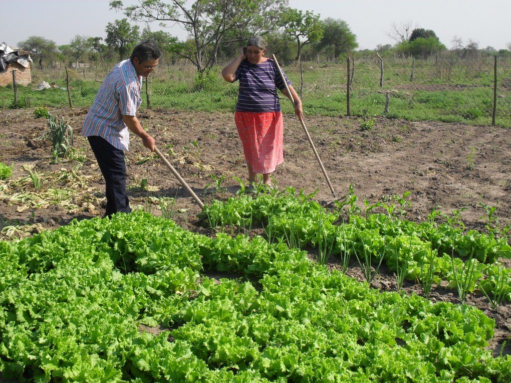 1° Congreso Argentino de Agroecología, otra agricultura es posible o_1557613129