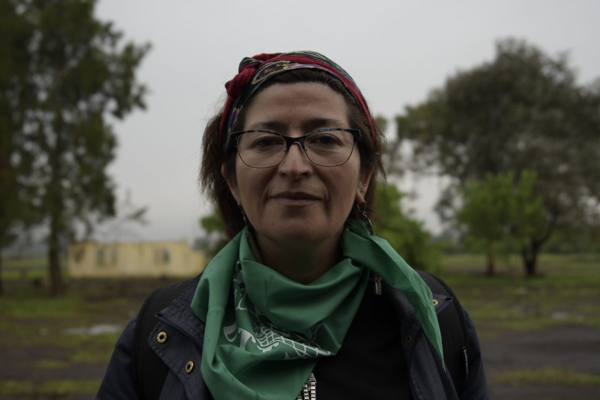 Viviana Catrileo: “En Chile, el Estado tiene que reconstruirse” – Marcha