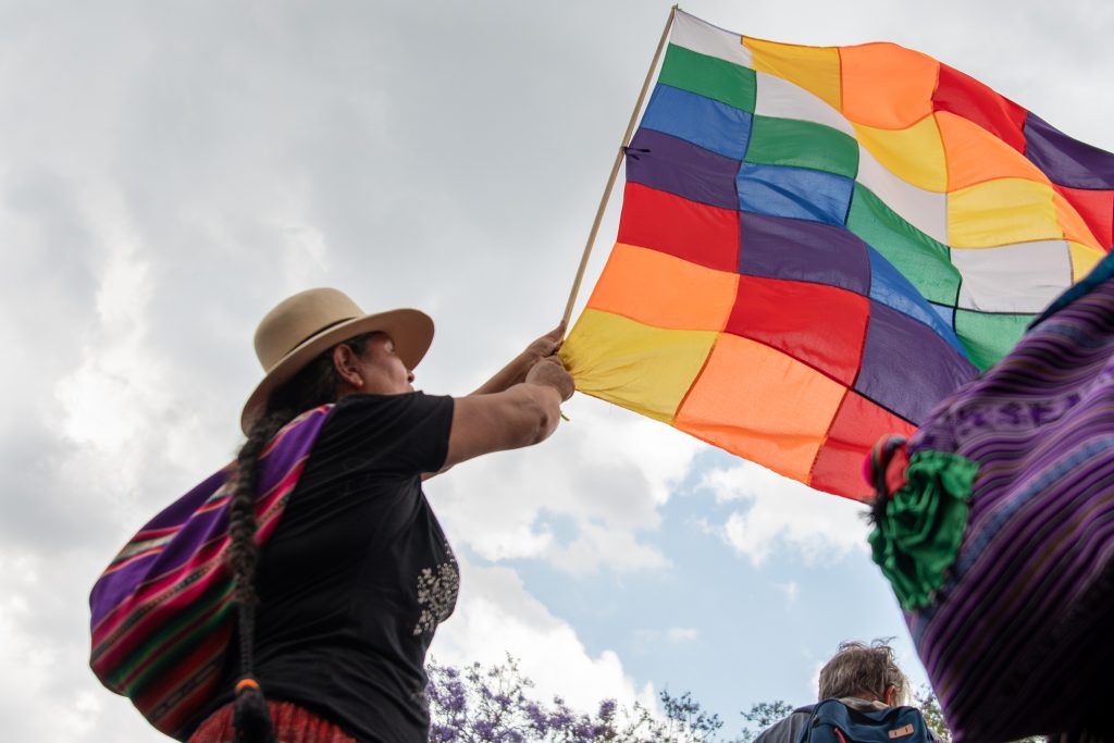 25N: ¡contra la violencia patriarcal, contra el Golpe en Bolivia, por el pueblo chileno y el aborto legal YA! nadia petri bol