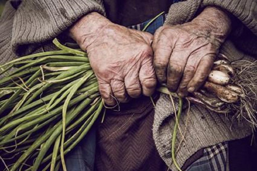 Las mujeres frente al agronegocio en Nuestramérica mujeres campesinas
