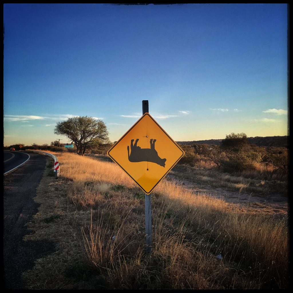 68694885_10157414780619868_5792734915963387904_o