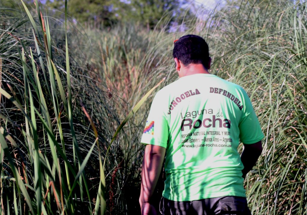 Hay equipo para la destrucción de la Reserva Natural de Rocha Laguna rocha 2