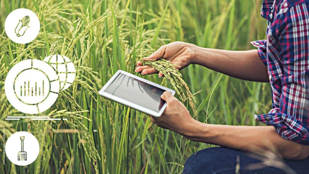 photo_2020-07-27_00-08-18