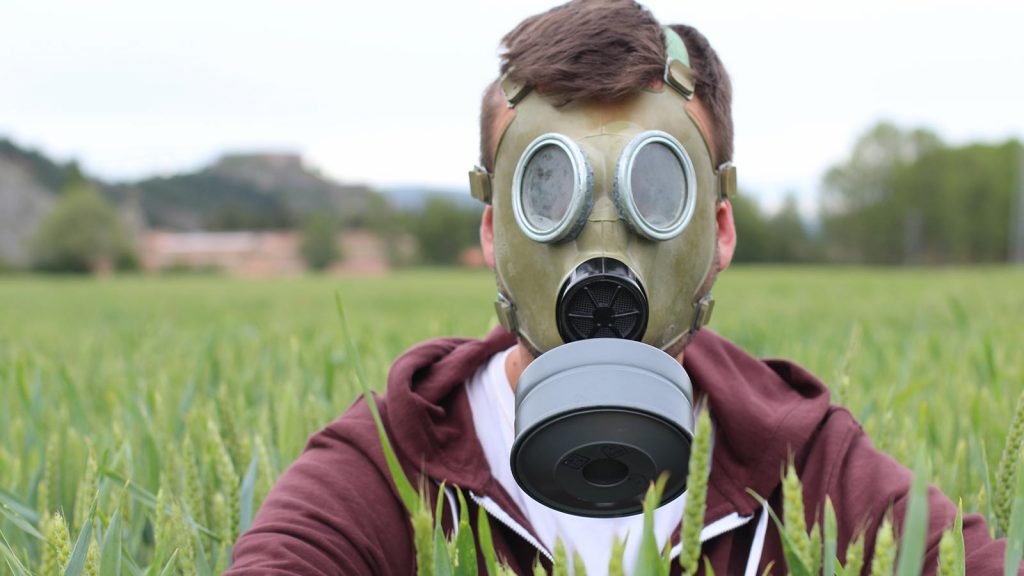 Sin licencia social para la producción de trigo transgénico fraude-alimentario 1