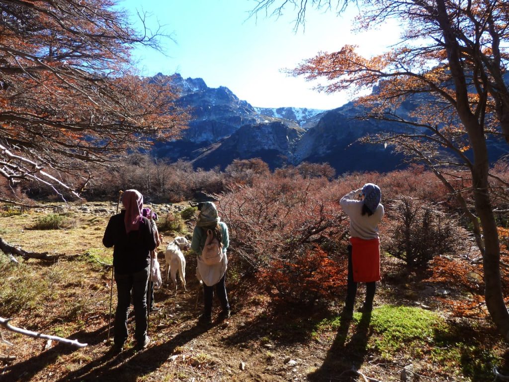 WhatsApp Image 2021-06-02 at 21.18.20