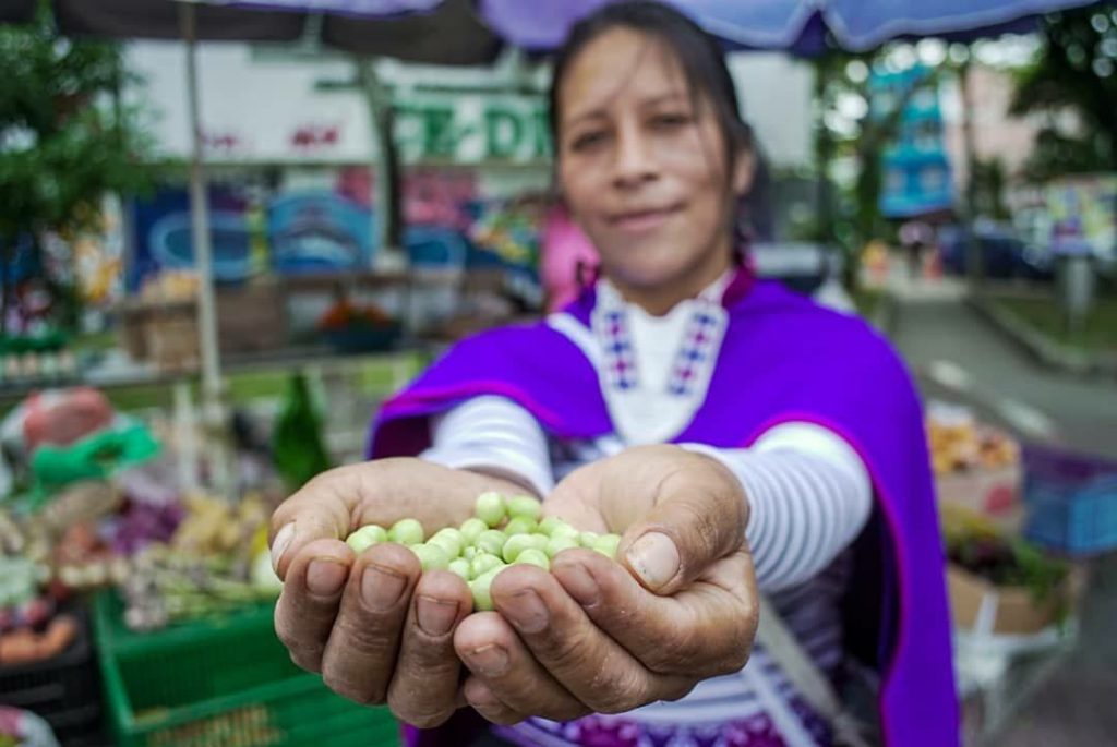 photo_2021-07-20_12-03-24