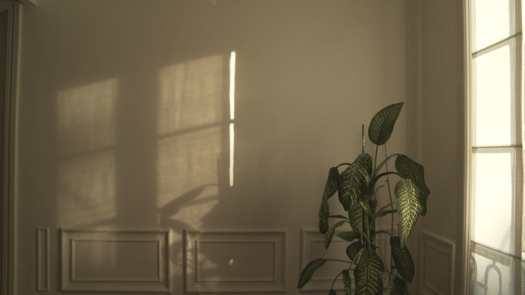 Cine: Apuntes desde el encierro, un ensayo documental Apuntes_desde_encierro