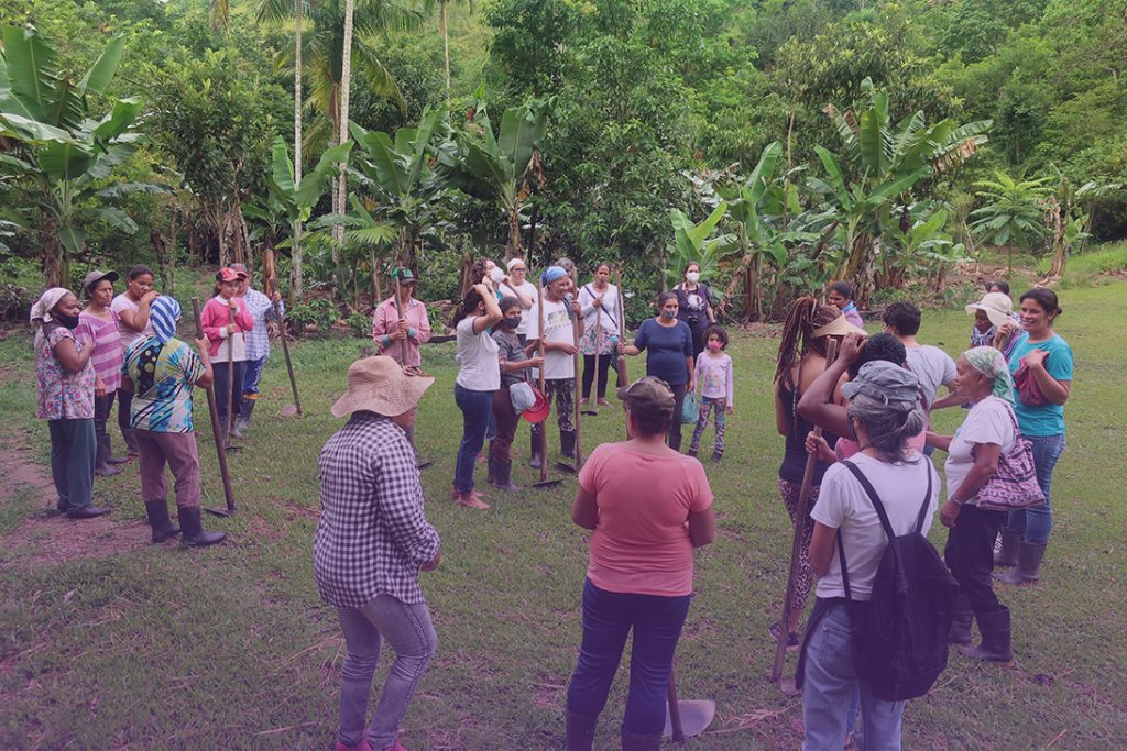 Terra-Seca-foto-Renata-Reis-x