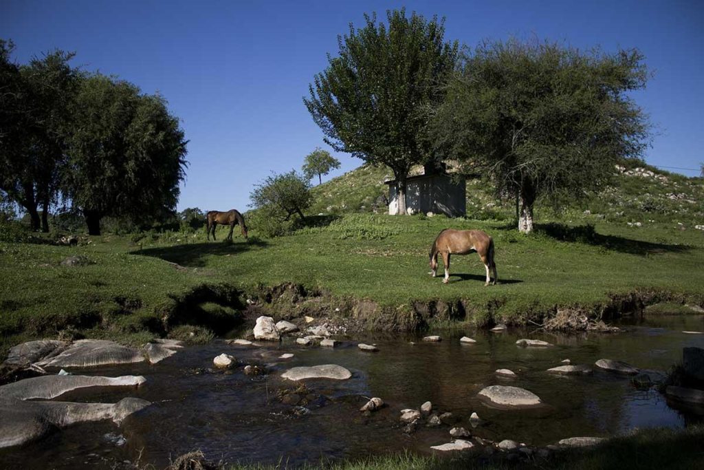 vecinos_feed_lot_catamarca-11