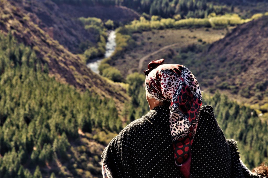 Cinco siglos igual minga_bf_00406_m