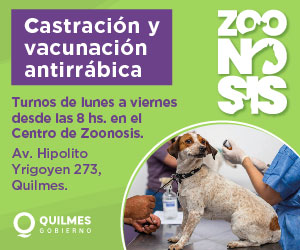 Pauta publicitaria