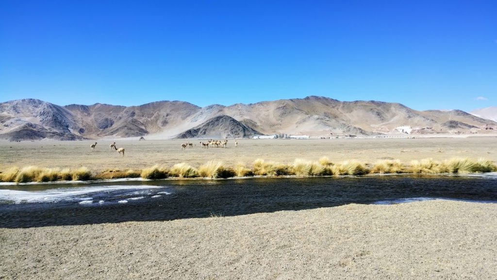 IMG_20240518_133347651~3